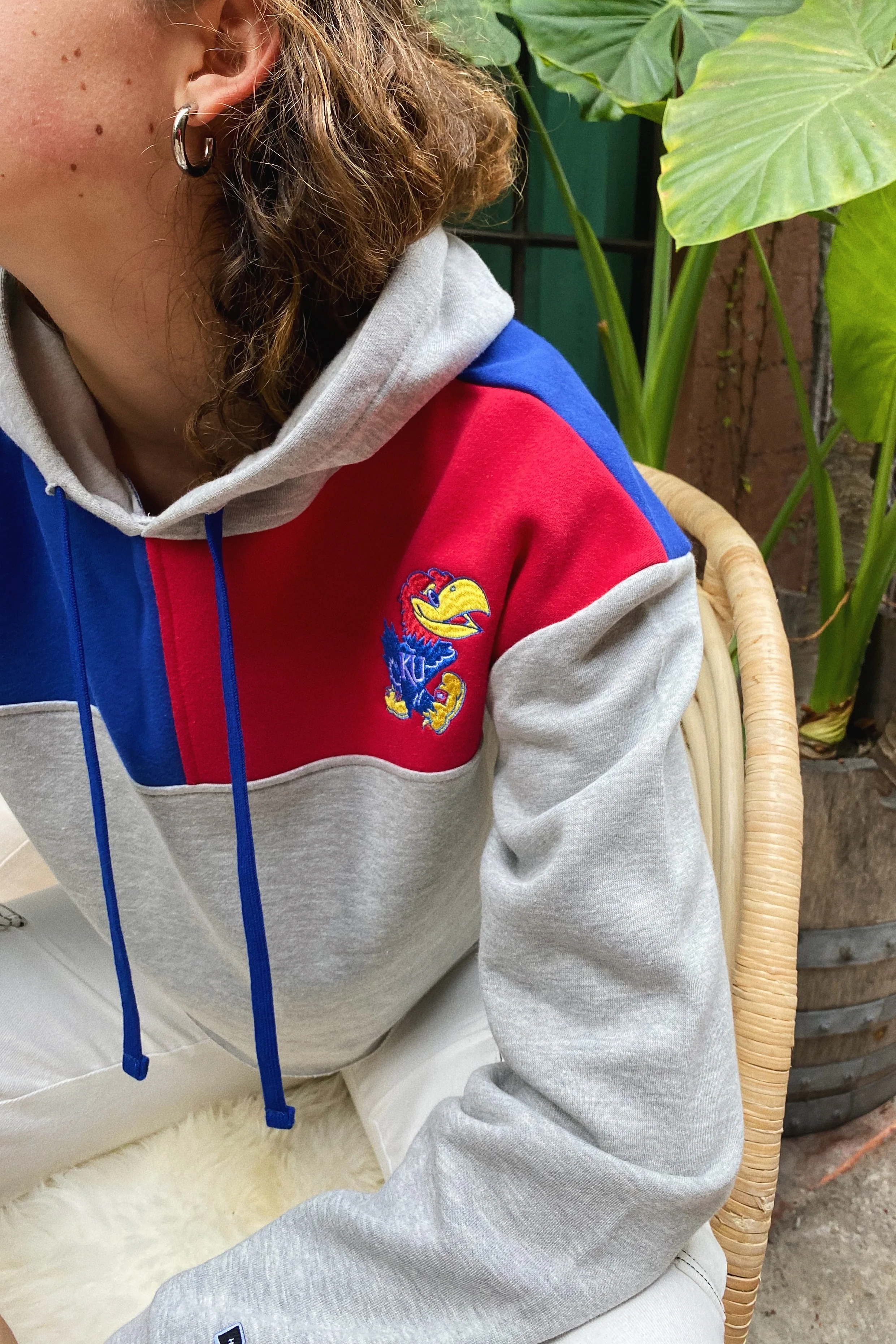 Kansas Color-Block Hoodie - Image 5