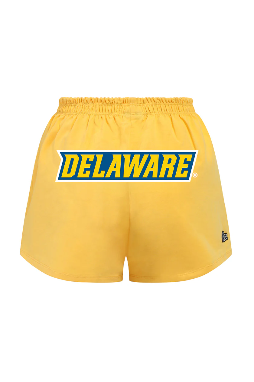 Delaware P.E. Shorts - Image 8