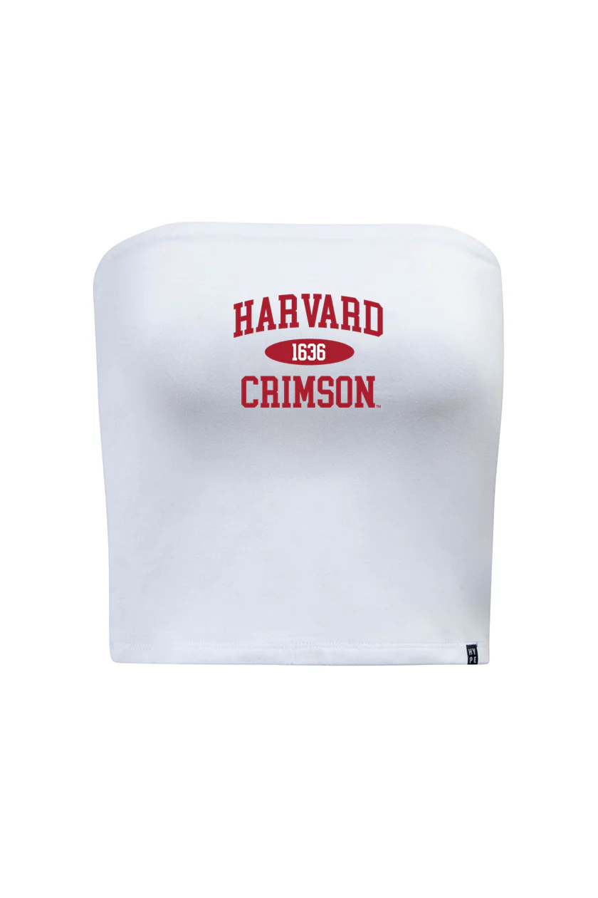 Harvard Tube Top - Image 7