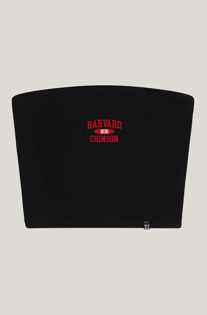 Harvard Tube Top - Image 9