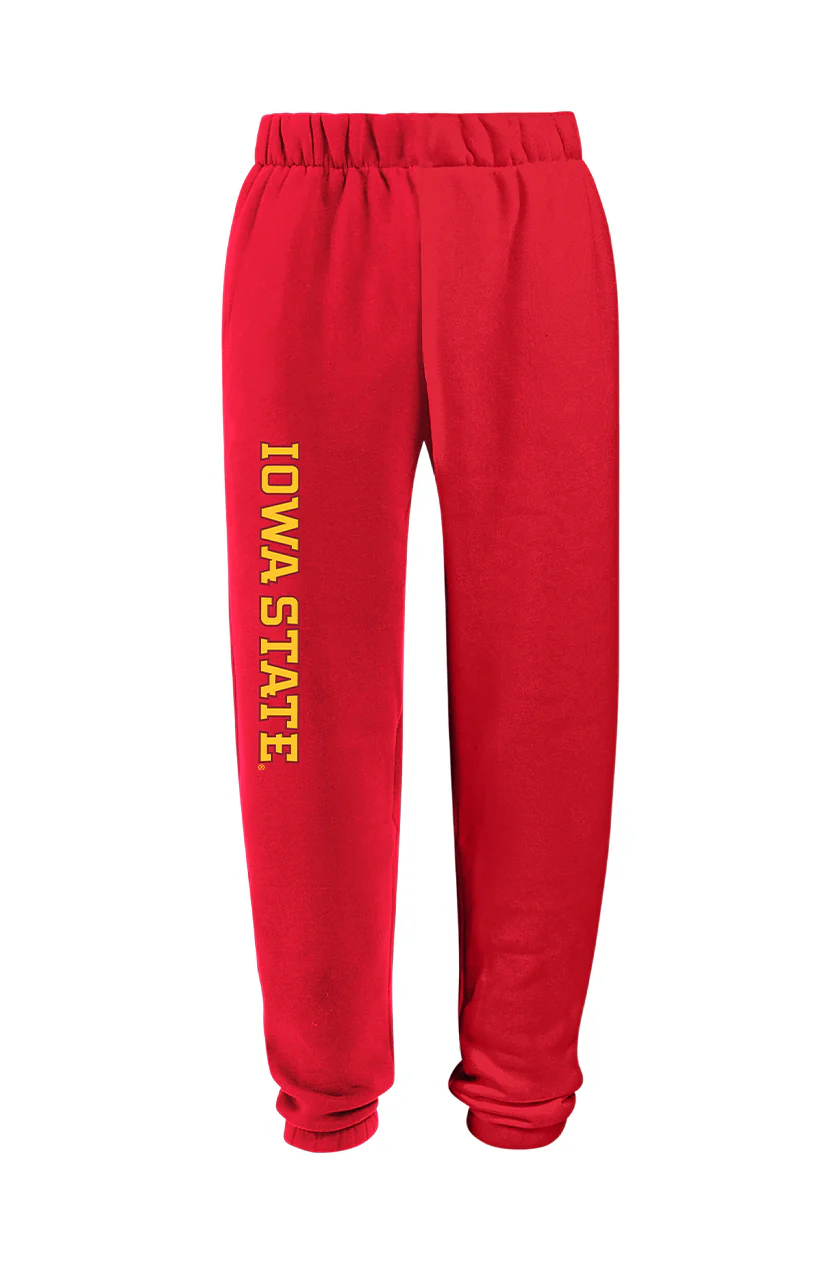 Iowa State Basic Sweats - Image 7